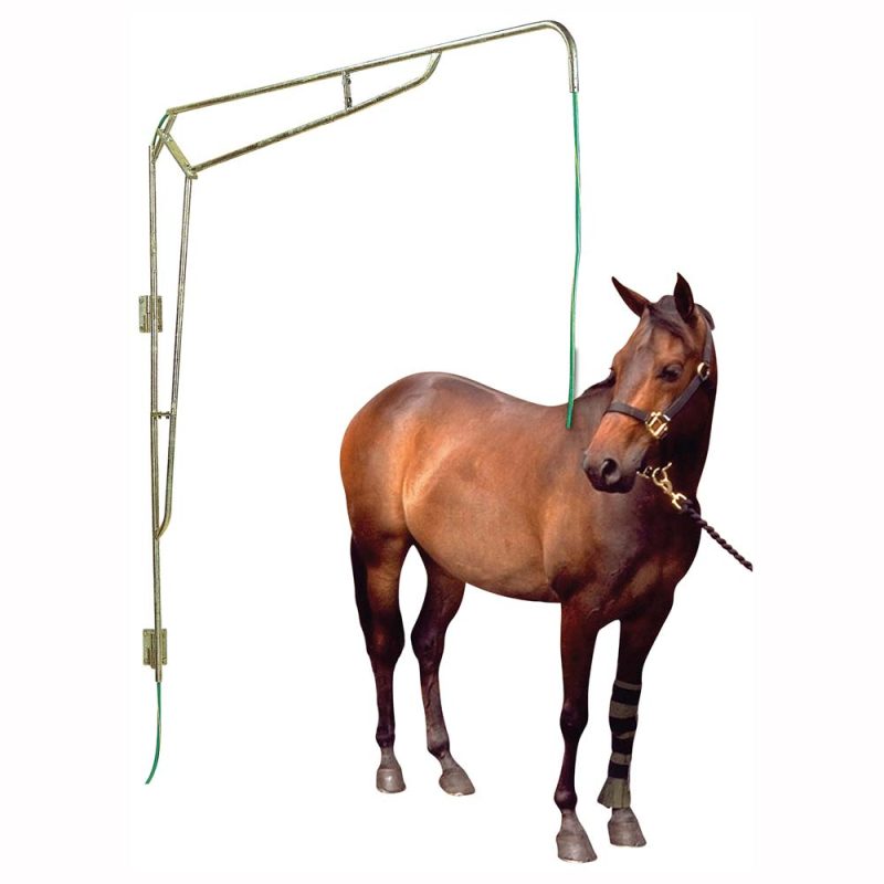 21026350000_2