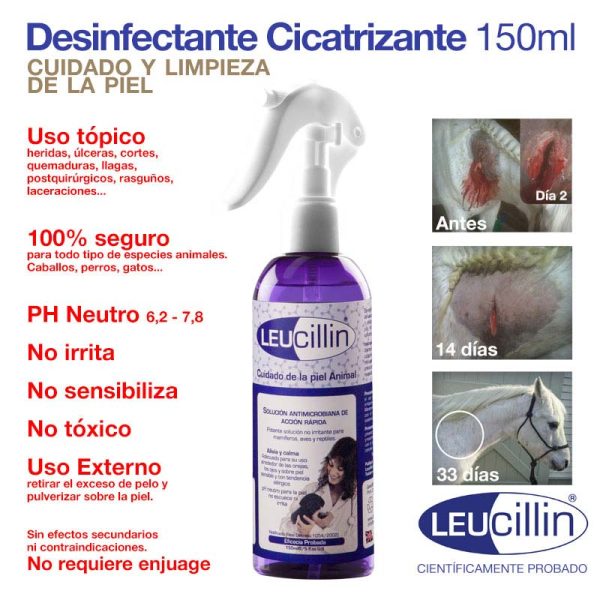 ZALDI DESINFECTANTE CICATRIZANTE LEUCILLIN