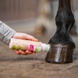 aceite-natural-para-cascos-bense-eicke-con-aplicador