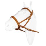 bitless-bridle-marjoman-modelo-victoria