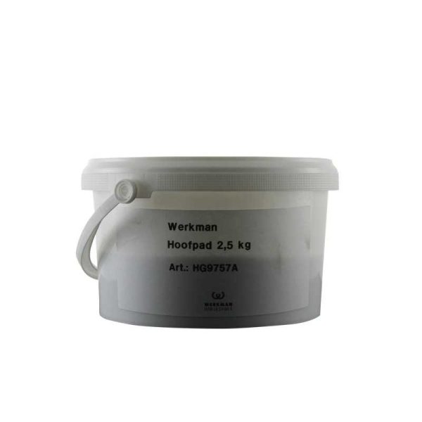 BOTE SILICONA WERKMAN 2.5KG
