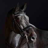 cabezada-de-doble-rienda-kieffer-ultrasoft-amy