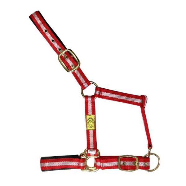 CABEZADA DE NYLON CON REFUERZO ELASTOTEX Y OJETES