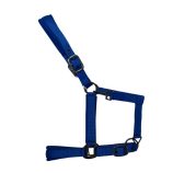 cabezada-de-nylon-con-refuerzo-en-neopreno