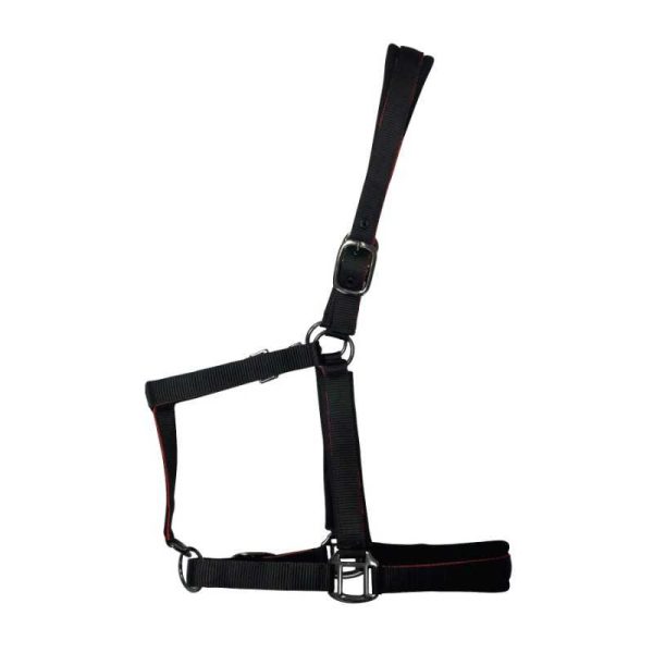 Cabezada de nylon con refuerzo en neopreno, hebilla negra