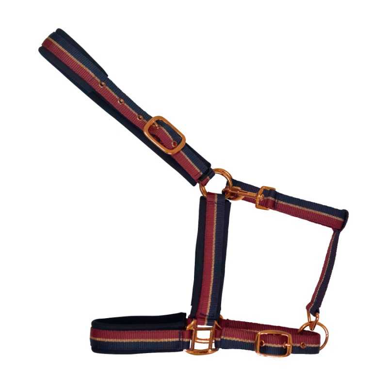 cabezada-de-nylon-con-refuerzo-en-neopreno-hebilla-dorada cabezada-de-nylon-con-refuerzo-en-neopreno-hebilla-dorada