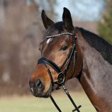 cabezada-kieffer-para-filete-comfort-young-profi