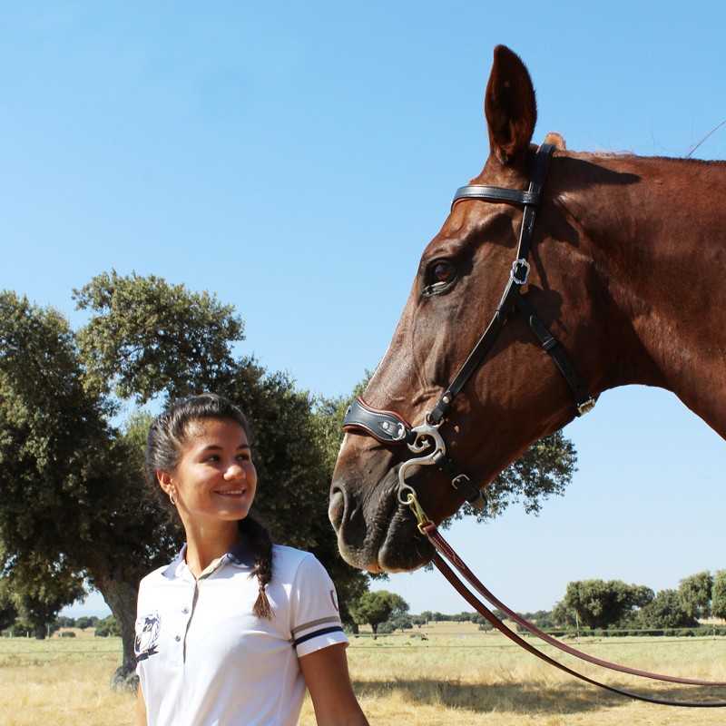 cabezada-marjoman-hackamore-sin-riendas cabezada-marjoman-hackamore-sin-riendas