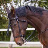 cabezada-marjoman-jerezana-con-riendas