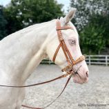 cabezada-marjoman-modelo-josepha
