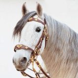 cabezada-marjoman-modelo-portugues-de-cortesia-doble-rienda