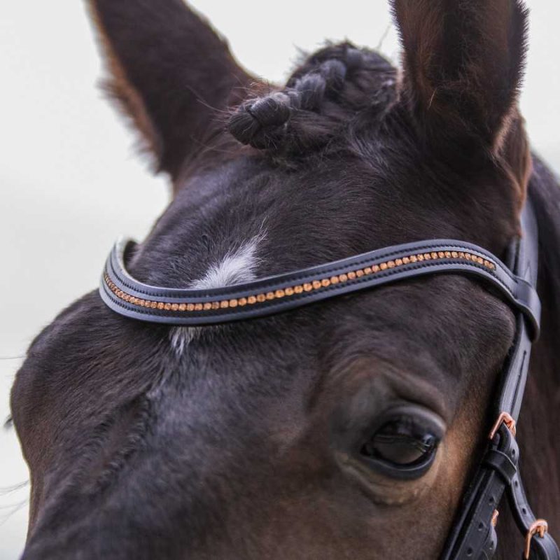 cabezada-para-filete-con-hebillas-y-piedras-en-oro-rosa