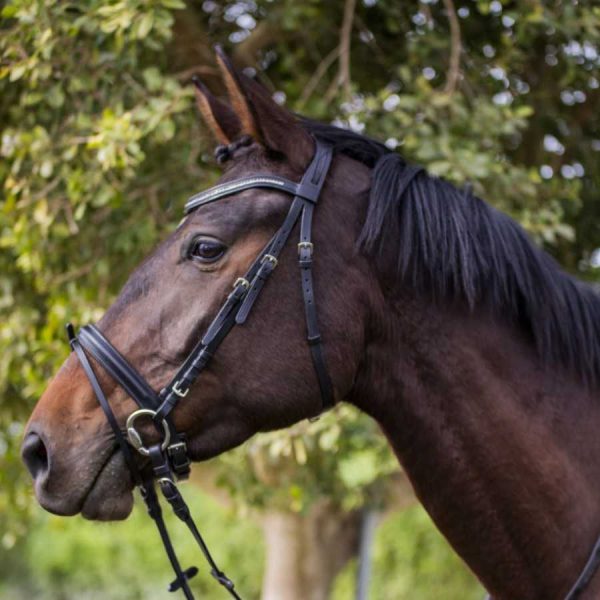 Cabezada para filete ergonómica con frontalera decorada y riendas de goma