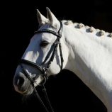 cabezada-para-filete-kieffer-flexistyle