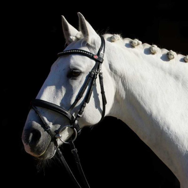 Cabezada para filete Kieffer FlexiStyle