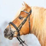 cabezada-para-filete-kieffer-haflinger
