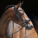 cabezada-para-filete-kieffer-softtech-line-anouk