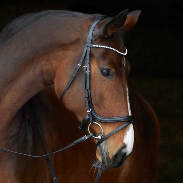 Cabezada para filete Kieffer Ultrasoft Stella