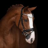 cabezada-para-filete-kieffer-victoria-ii