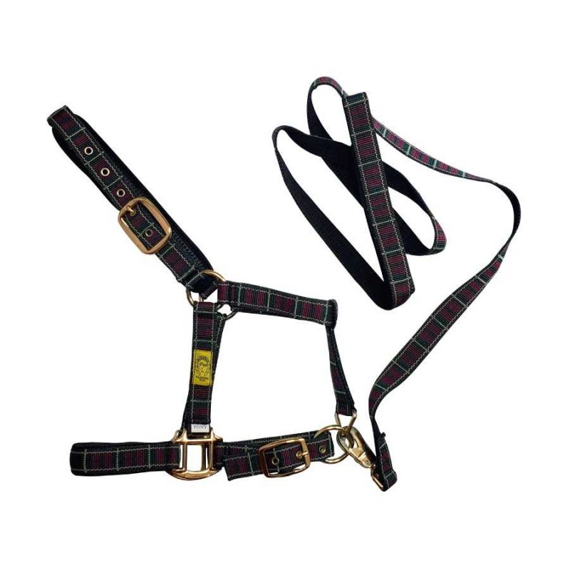 cabezada-ramal-tartan-pony