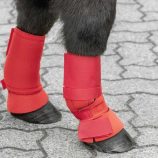 campanas-para-shetland-usg