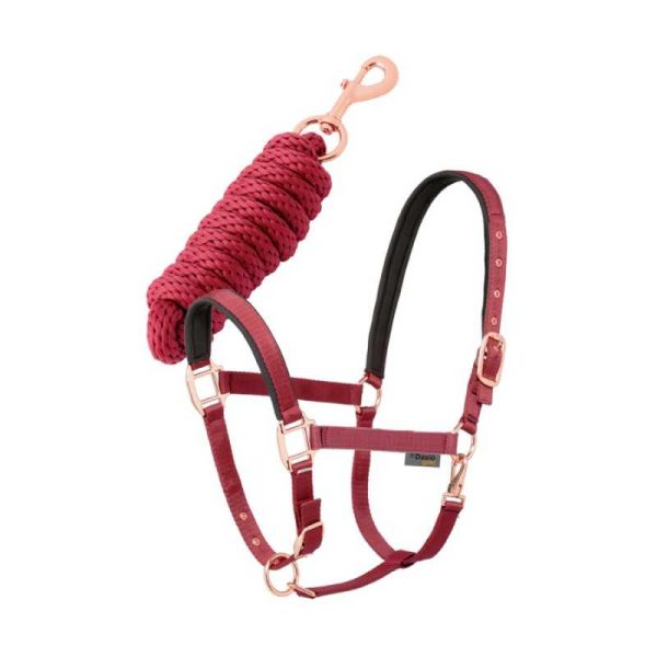 Conjunto cabezada + ramal Daslö Gold