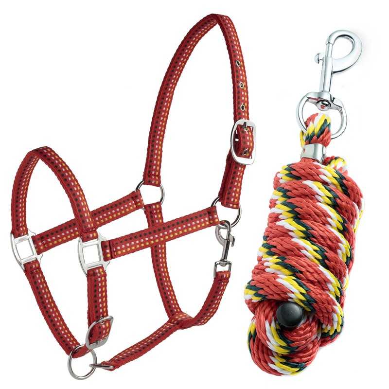 conjunto-de-cabezada-daslo-ramal conjunto-de-cabezada-daslo-ramal