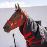 cubre-cuello-impermeable