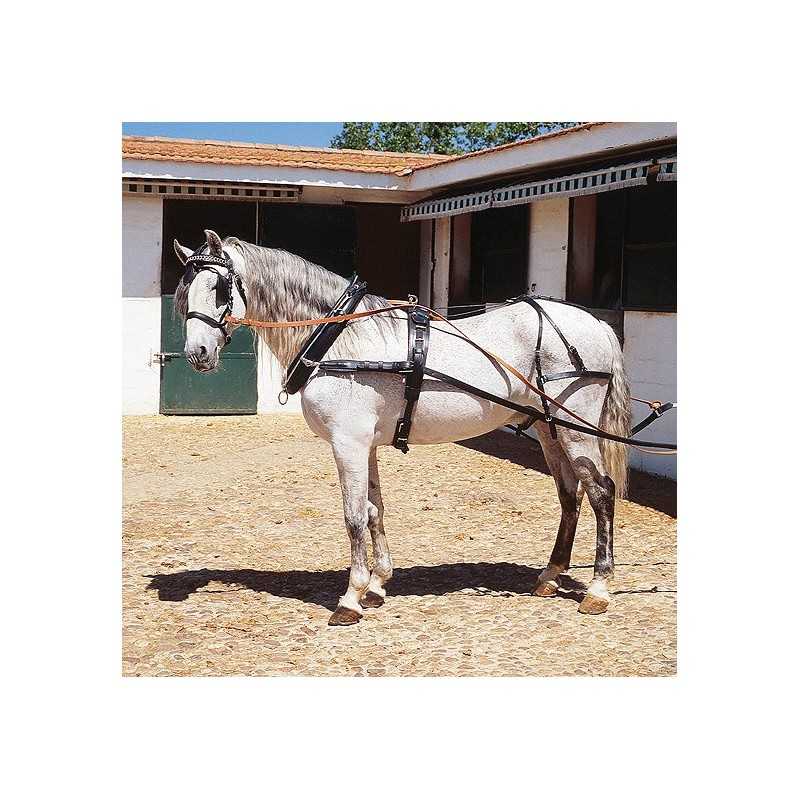 enganche-con-colleron-extra-para-dos-caballos enganche-con-colleron-extra-para-dos-caballos