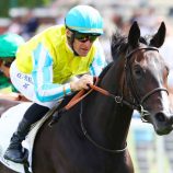 estribo-compositi-x-race