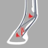 herradura-aluminio-full-rolling-acr-330-unidad