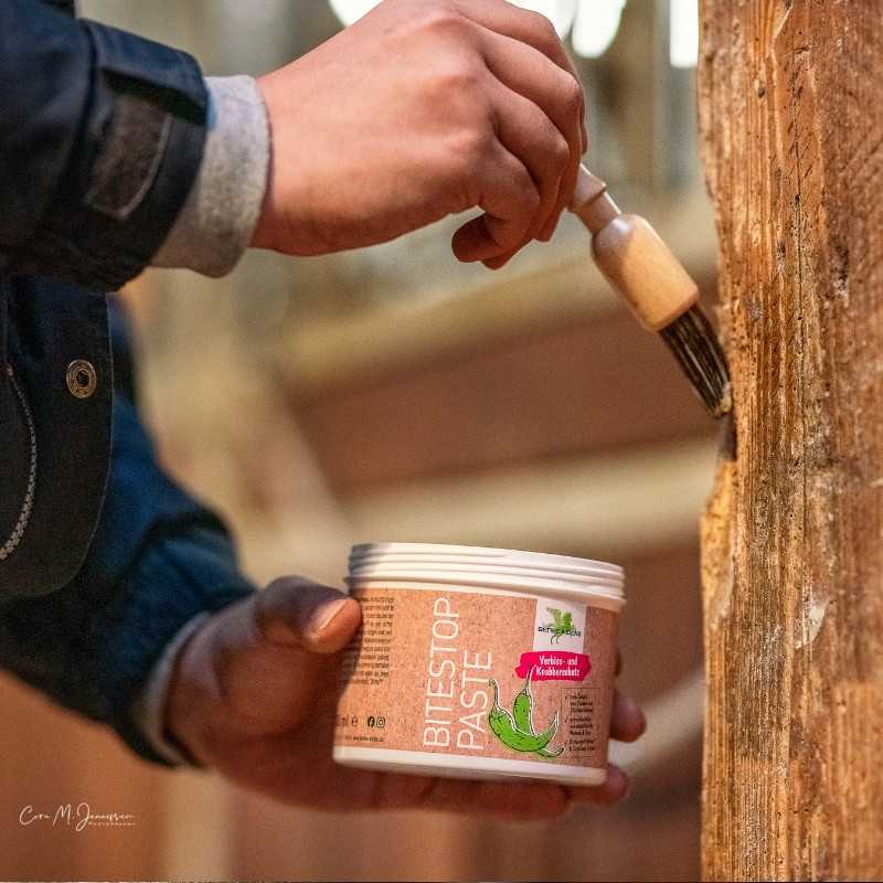 horse-stop-paste-bense-eicke horse-stop-paste-bense-eicke