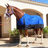 manta-impermeable-600-d