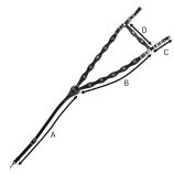 pechopetral-de-cortesia-economico