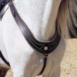 pechopetral-marjoman-modelo-americano