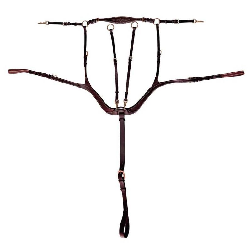 pechopetral-para-salto-con-forma