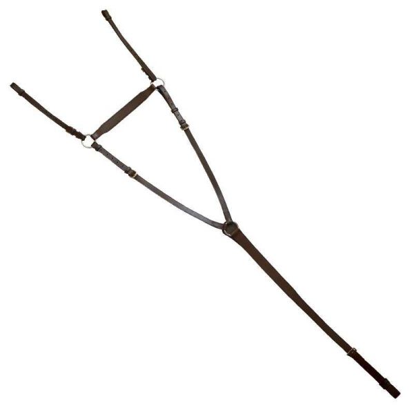 PECHOPETRAL Y CON PUENTE ECONÓMICO