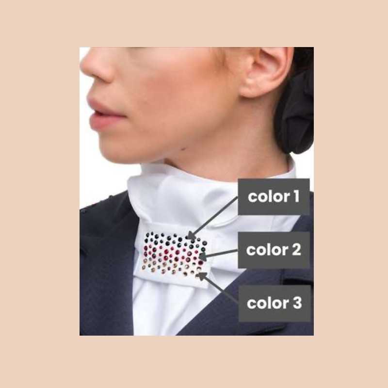 plastron-hipico-customized-cavalliera-fw20-21 plastron-hipico-customized-cavalliera-fw20-21