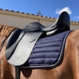silla-doma-omega-puentes-intercambiables