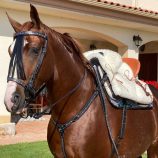 silla-marjoman-vaquera-de-fibra-mixta-completa