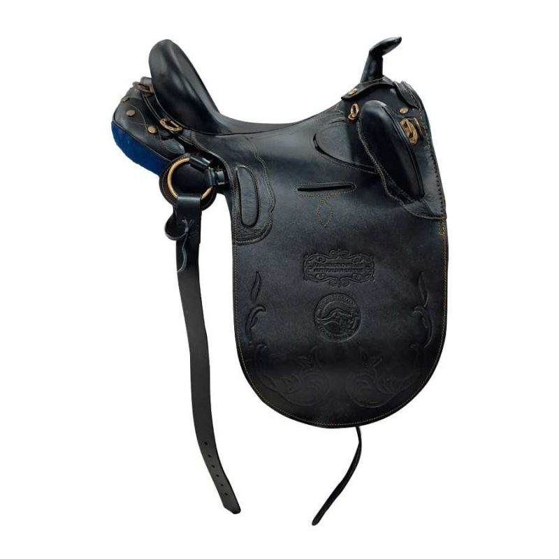 silla-modelo-australiana-con-pomo