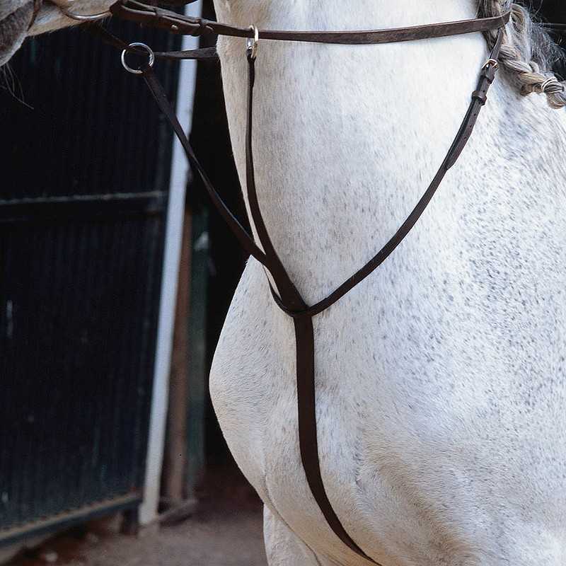 tijerilla-marjoman tijerilla-marjoman