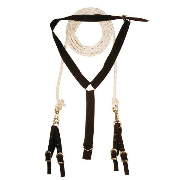 TRABONES PARA CUBRICIÓN DE YEGUAS